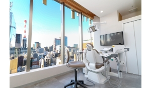 医療法人社団精密審美会　新橋銀座しらゆり歯科