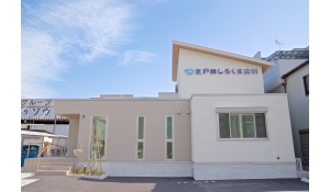 北戸田しろくま歯科