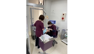 みずの歯科医院