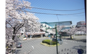 医療法人社団ほのぼの歯科•矯正歯科