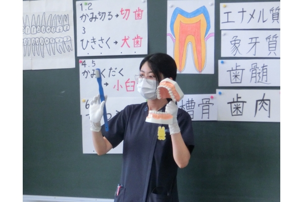 森田歯科医院の医院写真3